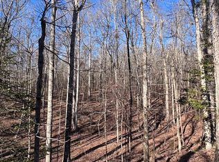 230 Brantley Rd, Buena Vista, GA 31803