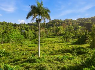 852 Bo Quebrada Grande Sector Matojo, Trujillo Alto, PR 00976