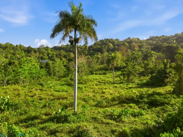 852 Bo Quebrada Grande Sector Matojo, Trujillo Alto, PR 00976