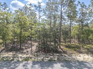 5 Fringetree Ct, Homosassa, FL 34446