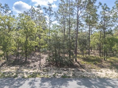 5 Fringetree Ct, Homosassa, FL, 34446