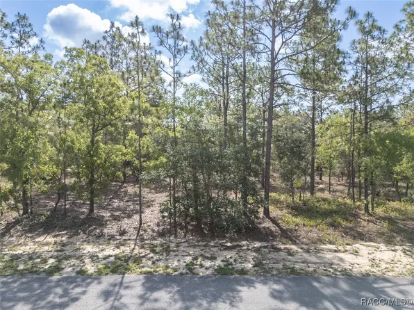 5 Fringetree Ct, Homosassa, FL 34446