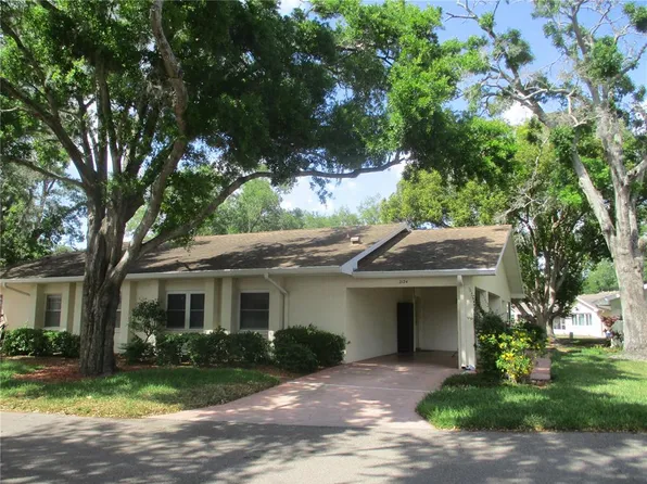 2124 Hailstone Cir, Sun City Center, FL 33573