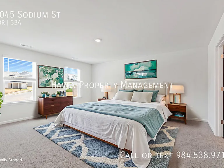 6045 Sodium St — Photo 4