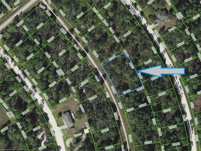 1147 Vesper Sparrow Ave, Lake Placid, FL, 33852