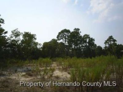 8121 Jasbow Jct, Weeki wachee, FL, 34613