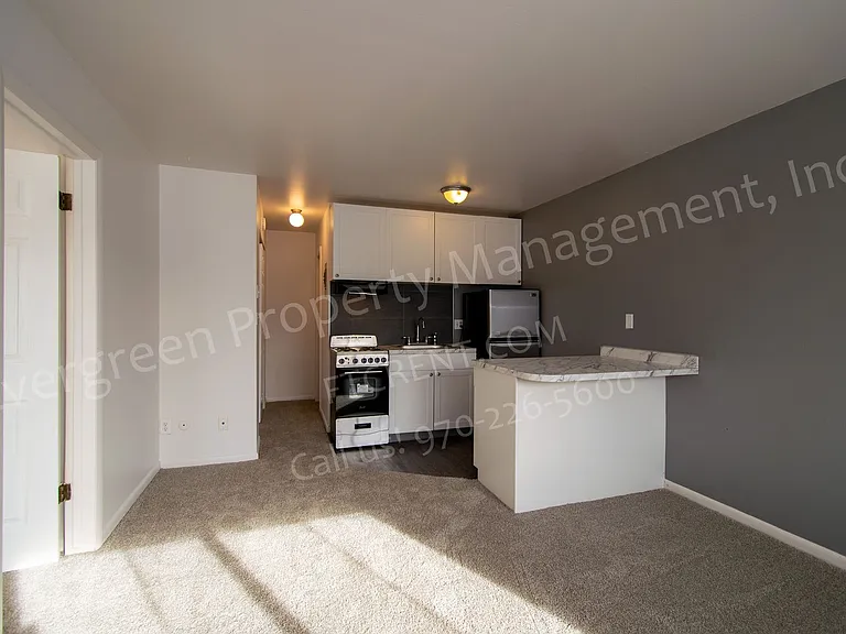 500 W Laporte Ave — Photo 72