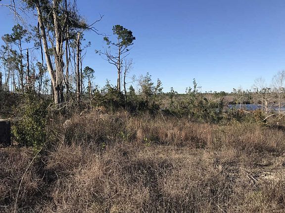 3rd image of 9736 Creek Bank Dr