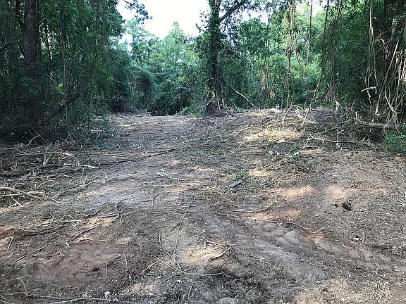 5th image of Deer Run Ln