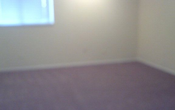 4th image of 1417 N Meadow Ave