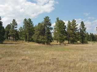 1120 Antelope Ave, Pagosa Springs, CO 81147