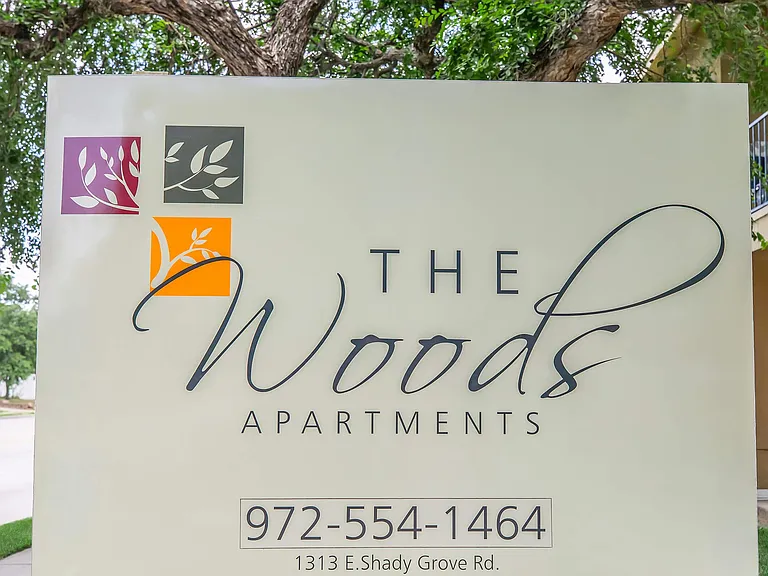 The Woods — Photo 25