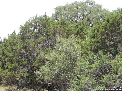312 Dodder Ln, Spring Branch, TX, 78070