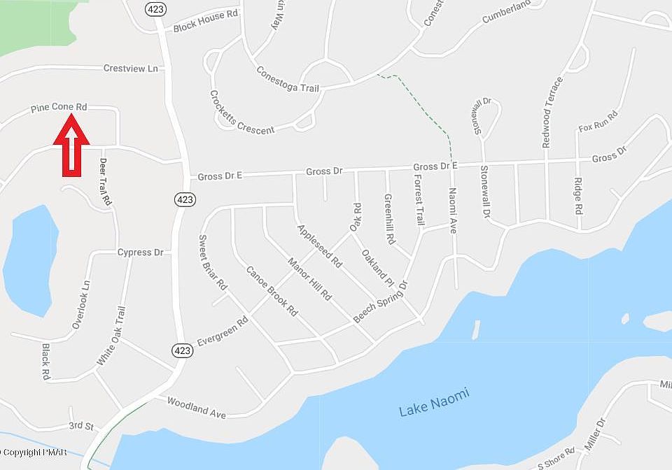 2nd image of 9 Pine Ln