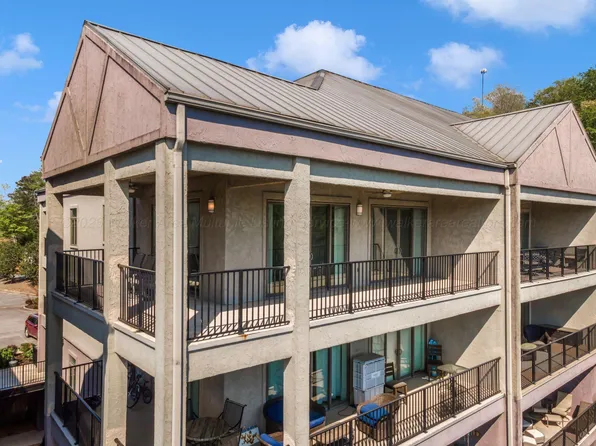 204 County Road 96 Unit 405, Crane Hill, AL 35053