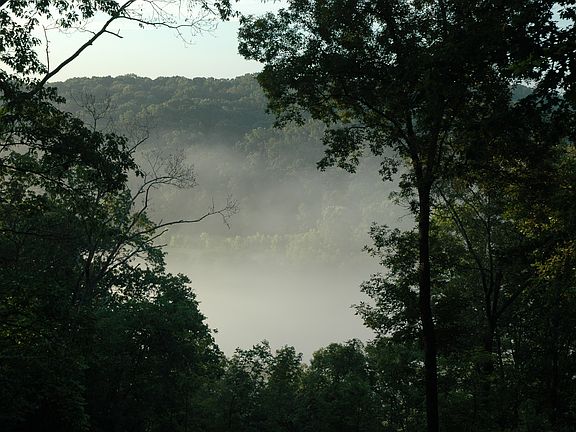 Mist on the River