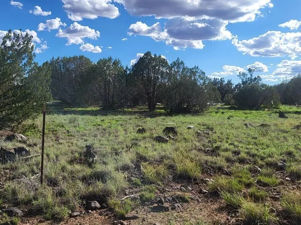 3851 N BOONE Trail #56, Ash Fork, AZ 86320