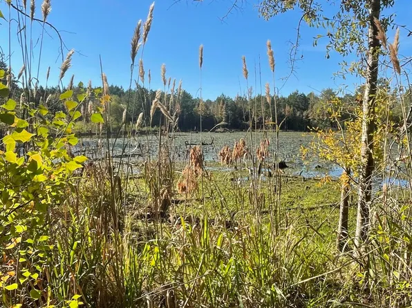 88 County Road 228, Pachuta, MS 39347