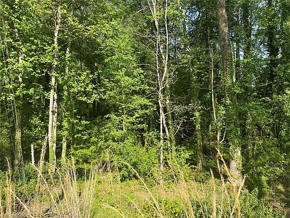 4th image of 2139 Westminister Ln Lot 11A