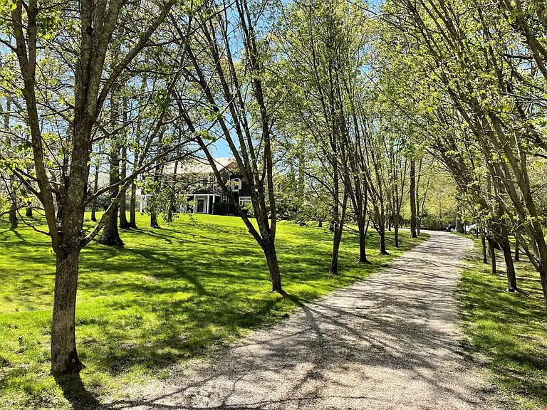 111 Cove Hollow Rd — Photo 2