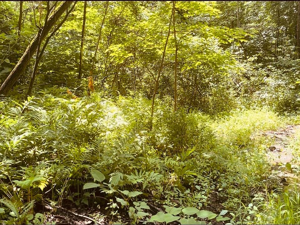 1st image of 0 Forrest Hill Street