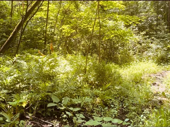 0 Forrest Hill Street, Lisbon, NH 03585