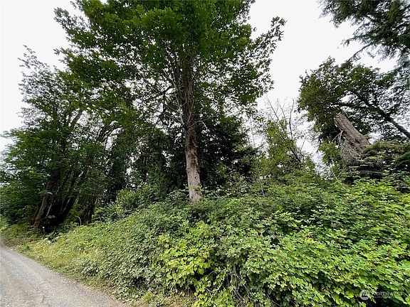 Another view of the lower road frontage.>