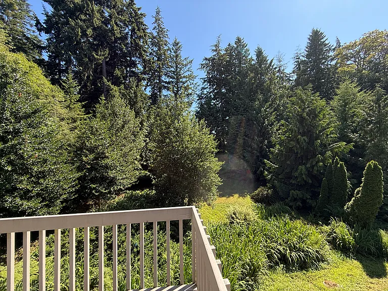 Large back yard