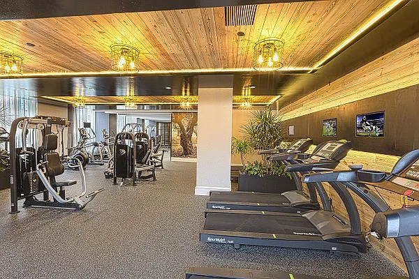 Rented by City View Living | media 17