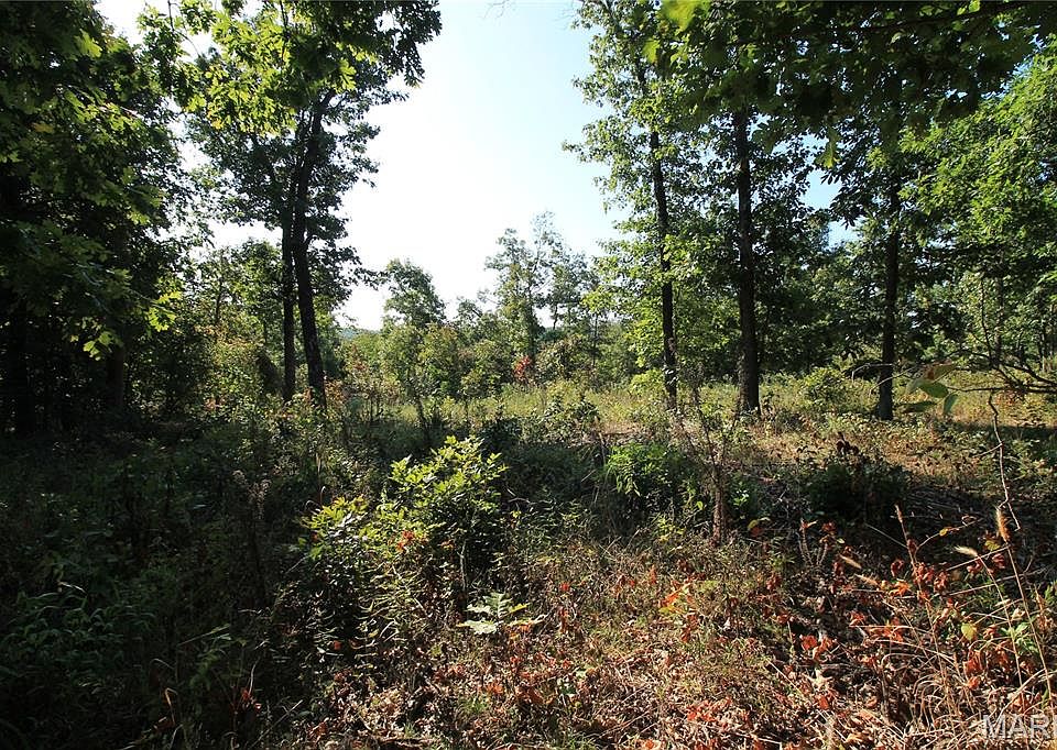 22nd image of 0 Coldwater Crk #Creek_lot-2