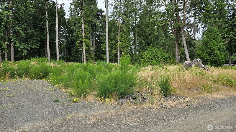 3rd image of 26 xx Oregon (Lot C of Short Plat) Avenue E