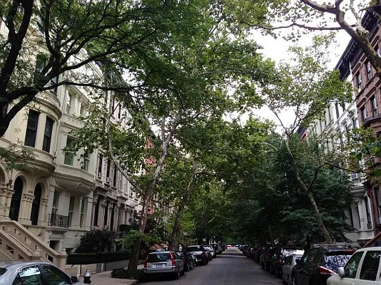 Rented by NY Living Solutions | media 33