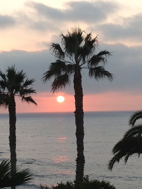 1st image of 4971-79 W Point Loma Blvd #4977.75