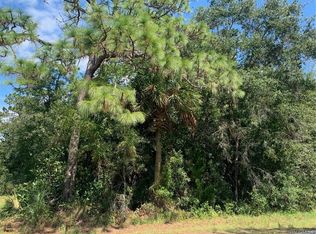 7723 W Fern Pl, Homosassa, FL 34448
