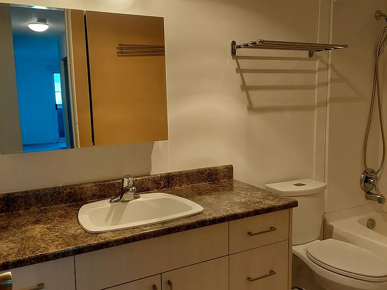 2541 Dingwall St #201 — Photo 20