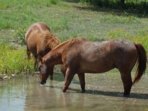 3rd image of 552 (LOT 2002) Rock Trail LOT 2002