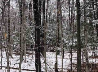 7605 Red Pine Trl, Alanson, MI 49706