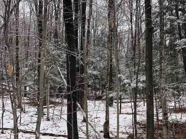 7605 Red Pine Trl, Alanson, MI 49706