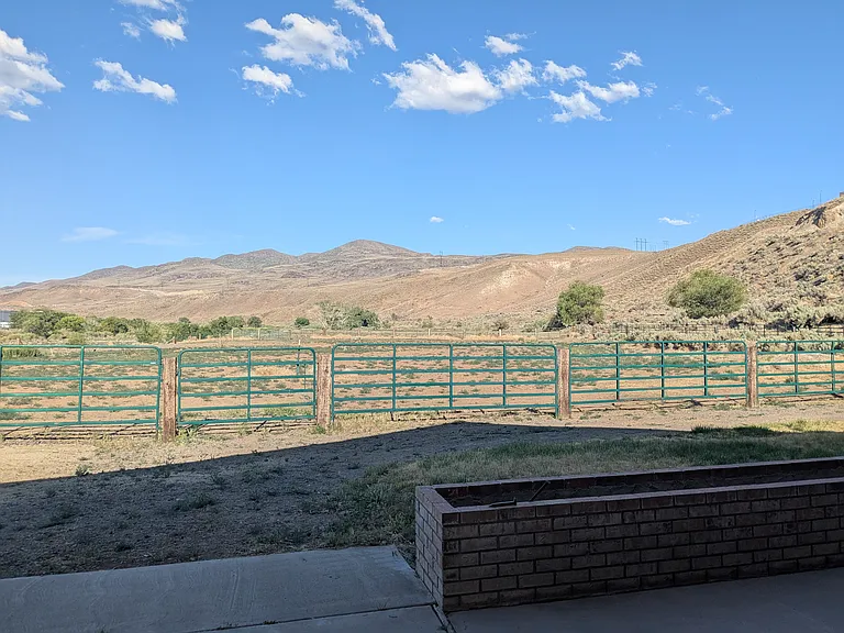 view from the patio