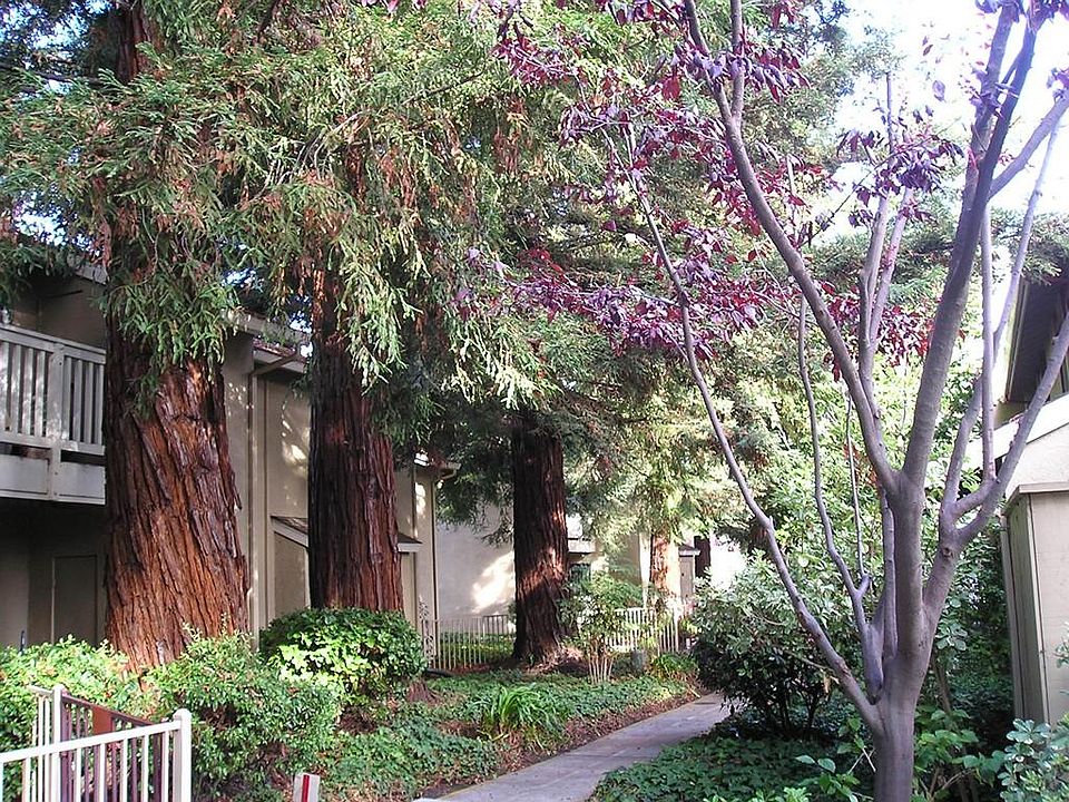 1st image of 1145 Miramar Way