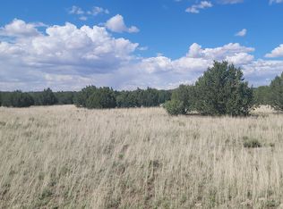 8722 Supancheck Rd, Show Low, AZ 85901