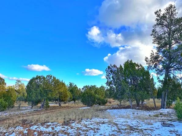 3319 Saw Mill Ridge Rd, Heber, AZ 85928