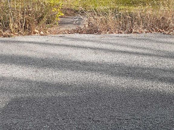 2nd image of 7031 Foster St