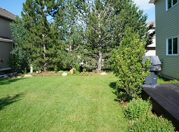 Sunny, low-maintenance backyard with landscaping & gardener _no lawn care required.