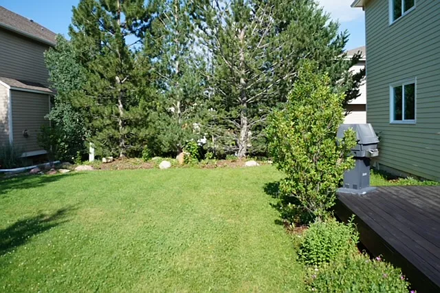 Sunny, low-maintenance backyard with landlord-provided landscaping_no lawn care required.