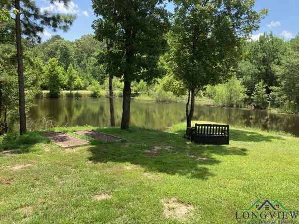 7445 Iris Ln, Ore City, TX 75683