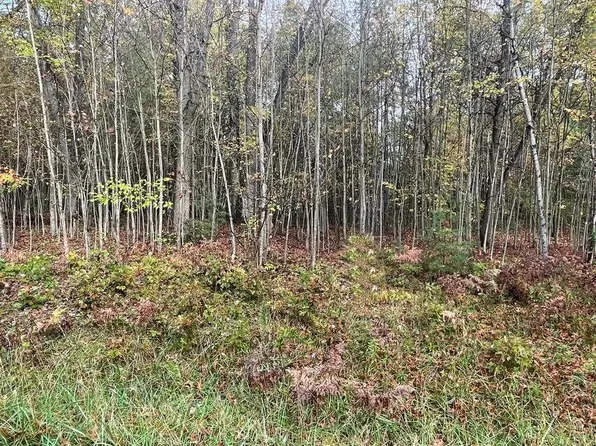 LOT 50 Hidden Hills Rd, Houghton Lake, MI 48629