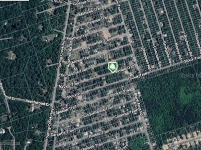 48 Navajo Trl LOT 48, Crawfordville, FL, 32327