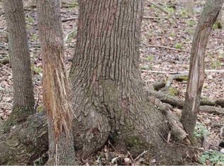 Arrowhead Ln, Fremont, WI 54940