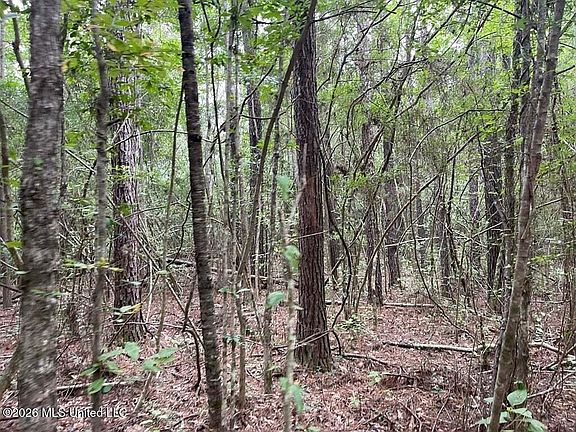 5th image of 0 Highway 439 Ln